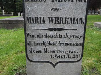 Onderste deel voorzijde